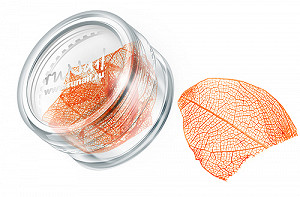 ruNail DRWS008 светло-оранжевый (Сухие листья) в пласт. банке