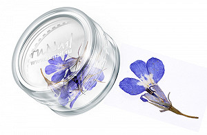 ruNail DRFL013 Dry Flower (Сухоцветы) в пласт. банке