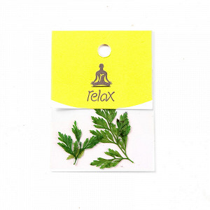 Relax Сухоцветы-листик зеленый