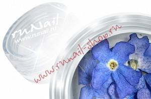 ruNail DRFL003 Dry Flower (Сухоцветы) в пласт. банке
