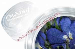 ruNail DRFL013 Dry Flower (Сухоцветы) в пласт. банке