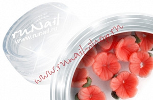 ruNail 3DSB007 3d Flower B (Пластиковые цветы) в пласт. банке